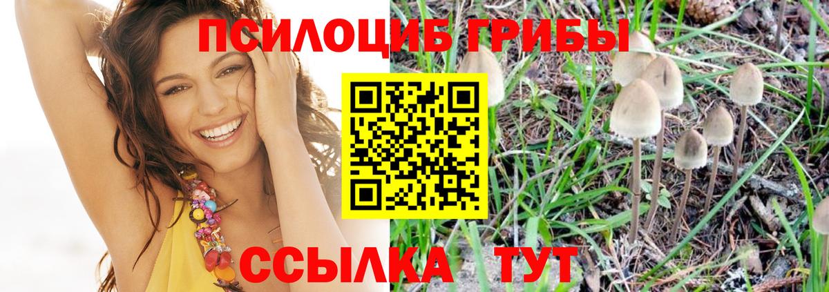 Псилоцибиновые грибы Magic Shrooms  где купить наркоту  Алексин  Вход с VPN  Псилоцибиновые грибы ЛСД 